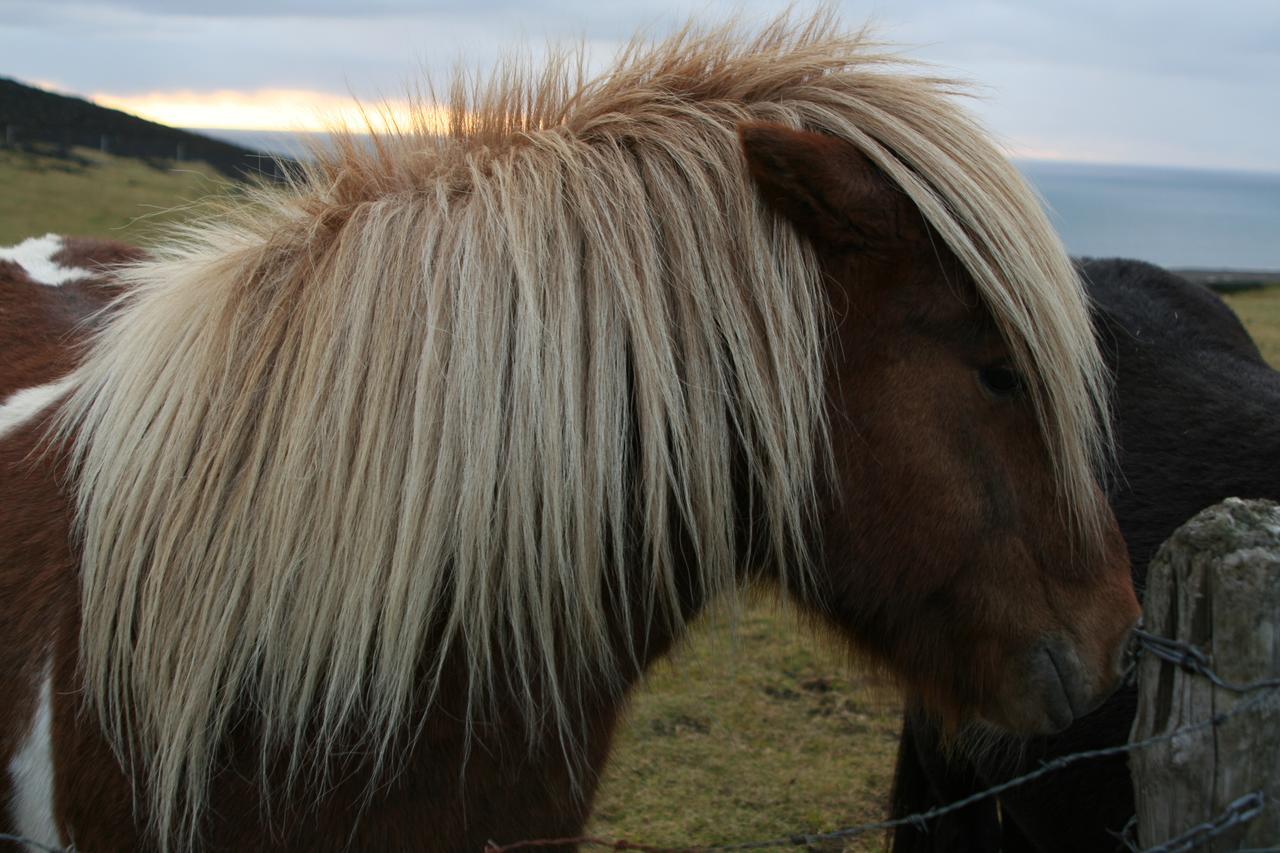 Lava Guesthouse Vestmannaeyjar Zewnętrze zdjęcie